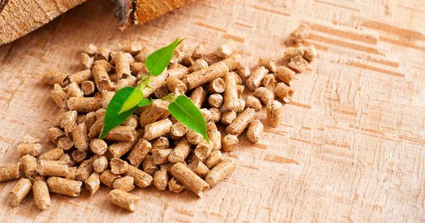 Black Wood Pellets – The Next Gen Renewable Fuel For Clean Energy
