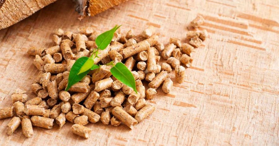 Black Wood Pellets – The Next Gen Renewable Fuel For Clean Energy