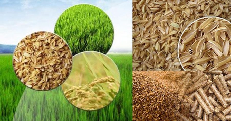 Rice Husk Pellets Vs Wood Pellets