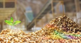 Wood Chip