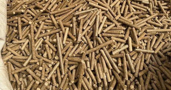 Wood Pellet